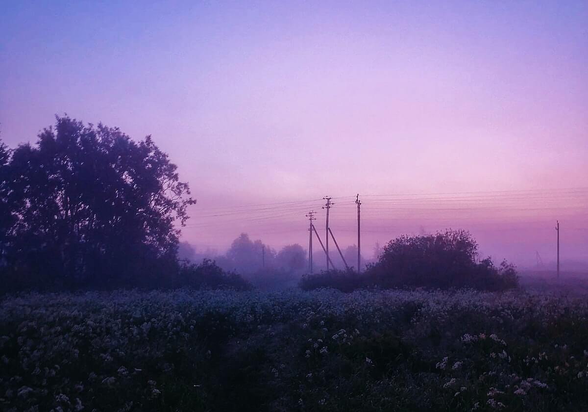 srN 与 sayuri 离开 MIBR GC，lissA 进入受限自由球员状态